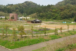 中央に建物があり、その奥に円柱状の建物が見えている広場の写真