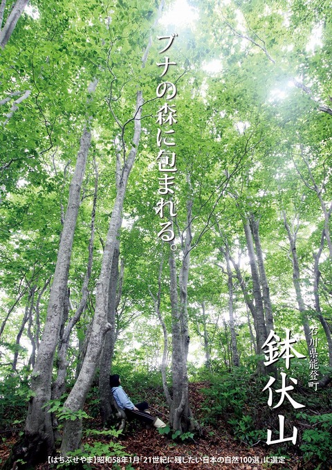人が生い茂る木の1本の根元に腰かけ、「ブナの森に包まれる」の文字が中央に、「鉢伏山」の文字が右下に書かれた写真