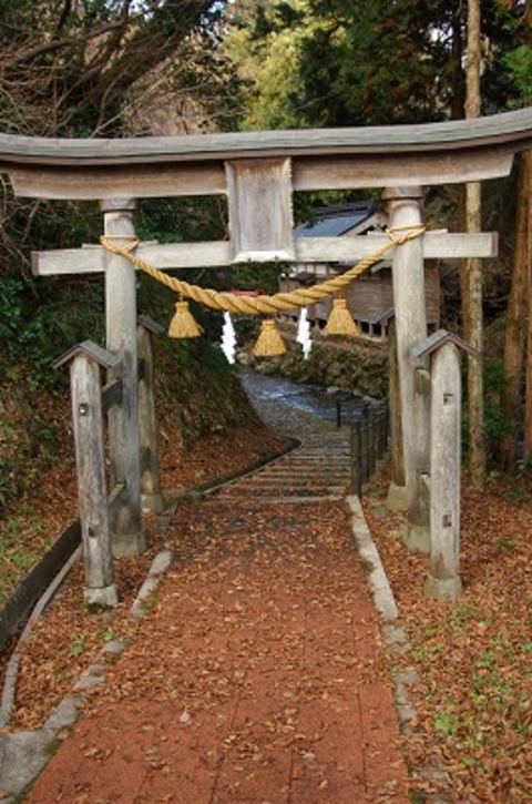 しめ縄をした鳥居から下りの階段が見える写真