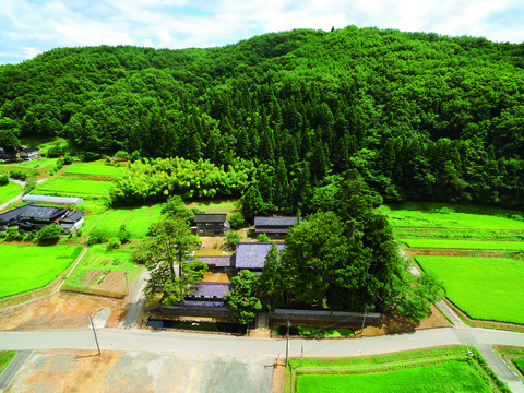 屋敷林を背景に広大な敷地にある中谷家全体を写した写真