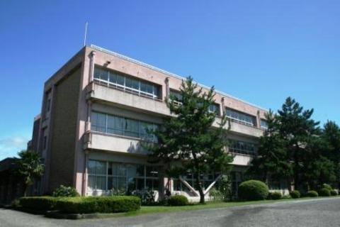 3階建ての校舎で建物のそばに3階まで達するほどの背の高い木が数本あり、周囲に植栽が施されている学校の外観写真