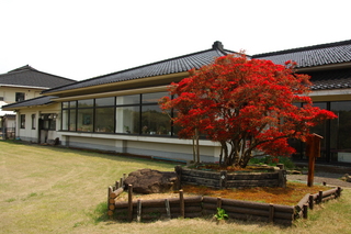 柳田植物公園の建物の前に植えられた真っ赤なツツジの木の写真