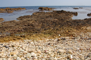 一定の場所から海側の岩は茶色が濃く、反対側の岩は色が薄くなっている海沿いを撮影した写真