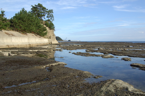 潮が引いて海沿いの浅瀬の岩肌が見えている写真