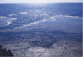 潮が満ちて浅瀬の全体の岩肌がかくれているところを上空から撮影した写真