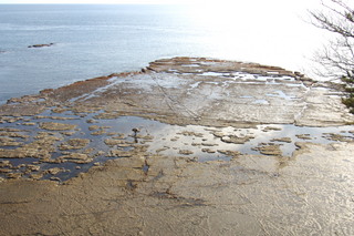 潮が引いて浅瀬の全体の岩肌が見えているところを上空から撮影した写真