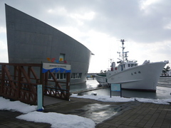 建物の横に海に浮かんでいるように設置されてい大きな船があるうみとさかなの科学館の外観写真