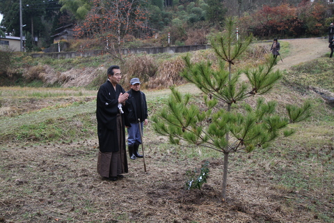 紋付き袴姿の男性が田んぼに植えられた松に手を合わせている写真